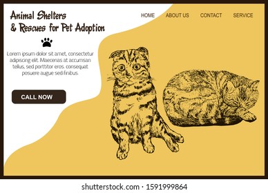 Animals shelter and rescues for pets adoptions with adopt cat sketch web template, vector illustration.