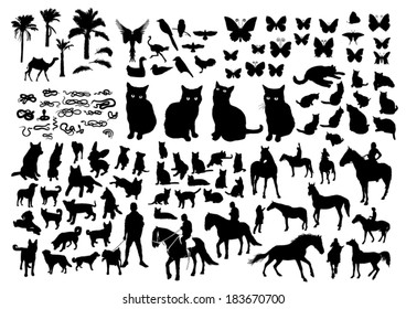 Animals Silhouette