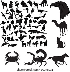 animals silhouette