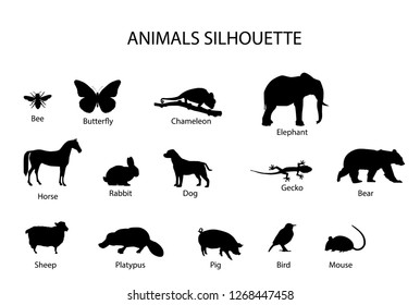 Animals Silhouette Black Isolated