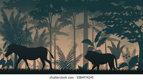 Animals silhouette in forest at night
