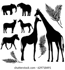 Animals Silhouette Giraffe Zebra Elephant Vector Stock Vector (Royalty ...