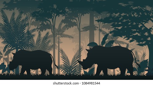 Animals silhouette at the inside forest