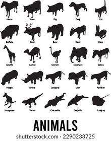 Animals Silhouette with Names Vector.