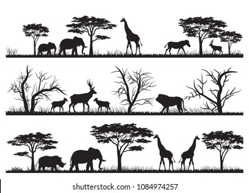 Animals silhouette at the savannah
