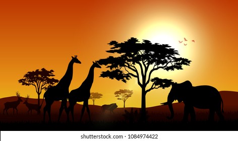 Animals silhouette in sunset at savanah