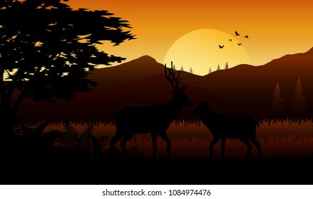 Animals silhouette in sunset at savanah