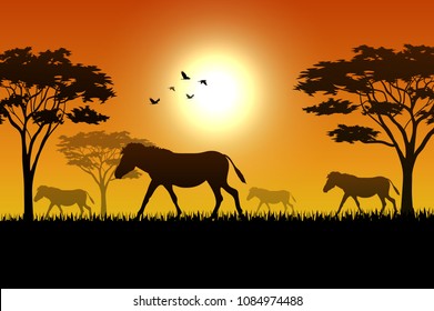 Animals silhouette in sunset at savanah