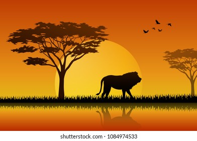 Animals silhouette in sunset at savanah