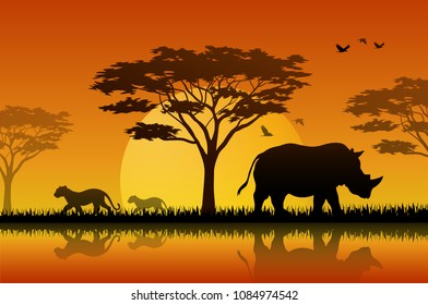 Animals silhouette in sunset at savanah