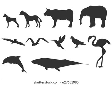 animals silhouette. vector illustration.