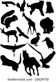 animals silhouettes