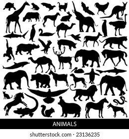 animals silhouettes