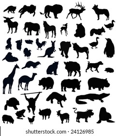 animals silhouettes