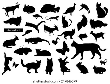 Animals silhouettes