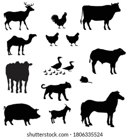 animals silhouettes set of 13 different animal