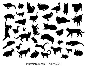 Animals silhouettes set