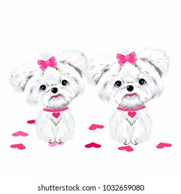animals sit two white dogs Maltese dogs with pink bows and hearts vector background
