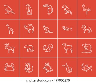 Animals sketch icon set for web, mobile and infographics. Hand drawn animals icon set. Animals vector icon set. Animals icon set isolated on red background.