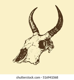 Animals skull with horns hand drawn stock vector illustration