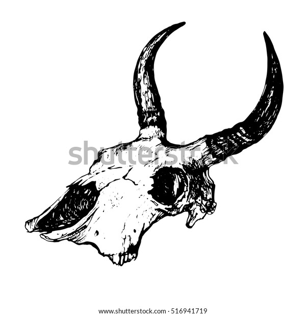 Animals Skull Horns Hand Drawn Stock Stock Vector (Royalty Free ...