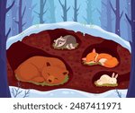 Animals sleeping in den. Animal sleep in underground burrow woodland winter snow season, cute bear hibernation forest nature house, cartoon wildlife ingenious vector illustration