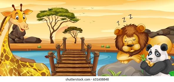 Animals sleeping near river