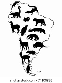 Animals South America