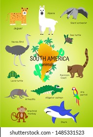 Animals South America. poster for children, preschoolers, kindergartens, kindergartens. Alpaca, anteater, armadillo, coati, parrot, monkey, shark, ostrich nandu, alligator, turtle