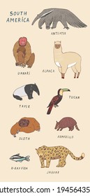 animals of South America vector illusrations set