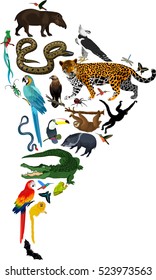 animals South America - vector illustration