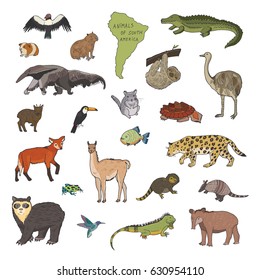 animals of south america vector illustrations set