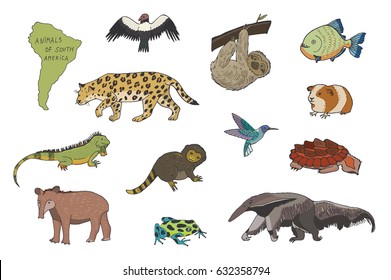 50,281 South american animals Images, Stock Photos & Vectors | Shutterstock