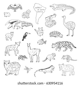 animals of south america vector line graphic set