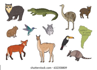 animals of south america vector pattern