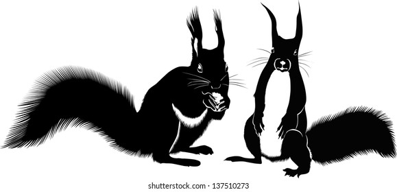 animals squirrels silhouettes