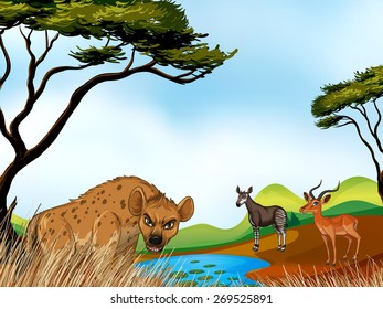 Animals standing around the field