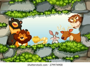 Animals standing in a frame of rocks and green leaves