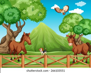 Animals strolling behind the fence