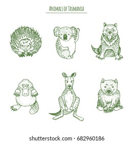 Animals of Tasmania: koala, Tasmanian devil, kangaroo, platypus, wombat, echidna.  Hand drawn sketch in a graphic style.