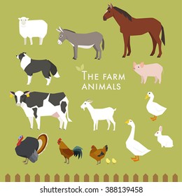 Animals that live on the farm