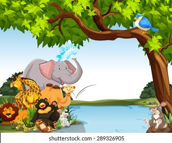 Animals together by the river bank