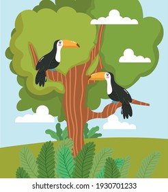 Animals toucan tree foliage cartoon