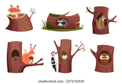 Animals in tree holes. Wild wooden animals living in forest cozy hollow houses for rest time exact vector characters cartoon pictures