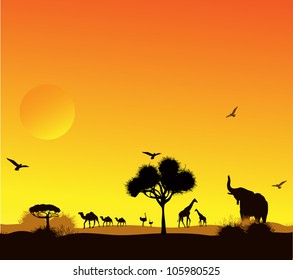 animals and trees against a sunset in the desert, vector image