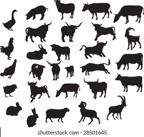 animals vector