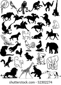 Animals vector