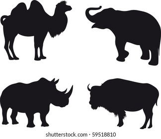 Animals vector