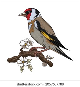 Animals Vector Art Design. Vector design download.