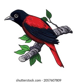 Animals Vector Art Design. Vector design download.